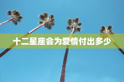 十二星座会为爱情付出多少