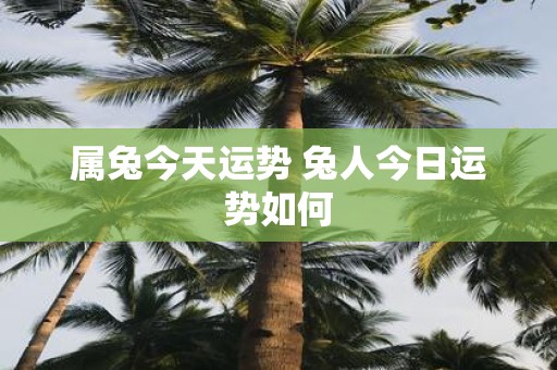 属兔今天运势 兔人今日运势如何