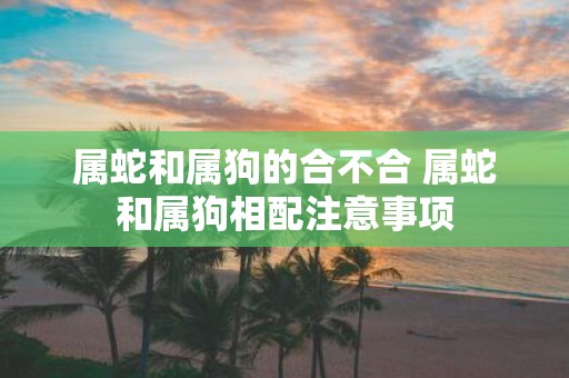 属蛇和属狗的合不合 属蛇和属狗相配注意事项