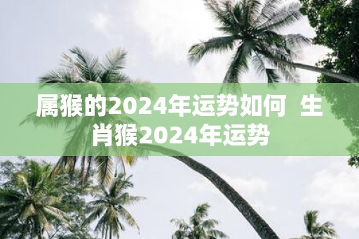 属猴的2025年运势如何 生肖猴2025年运势