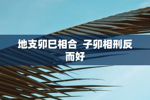 地支卯巳相合 子卯相刑反而好