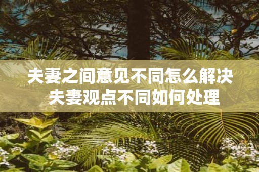 夫妻之间意见不同怎么解决 夫妻观点不同如何处理