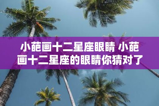 小葩画十二星座眼睛 小葩画十二星座的眼睛你猜对了几个