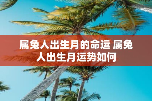 属兔人出生月的命运 属兔人出生月运势如何