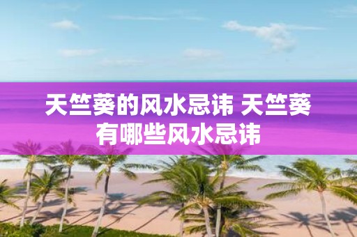 天竺葵的风水忌讳 天竺葵有哪些风水忌讳