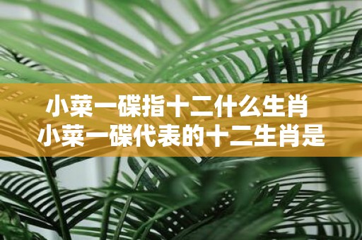 小菜一碟指十二什么生肖 小菜一碟代表的十二生肖是什么