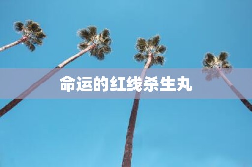命运的红线杀生丸