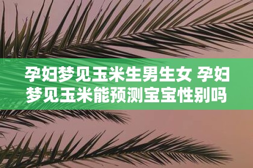 孕妇梦见玉米生男生女 孕妇梦见玉米能预测宝宝性别吗