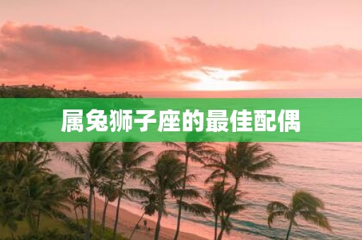 属兔狮子座的最佳配偶