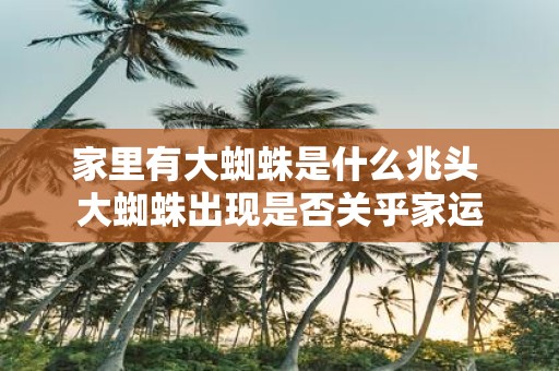 家里有大蜘蛛是什么兆头 大蜘蛛出现是否关乎家运