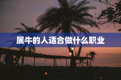 属牛的人适合做什么职业