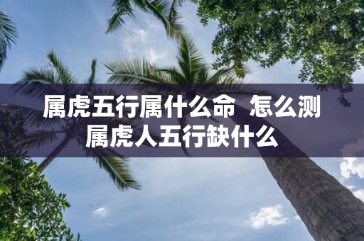 属虎五行属什么命 怎么测属虎人五行缺什么