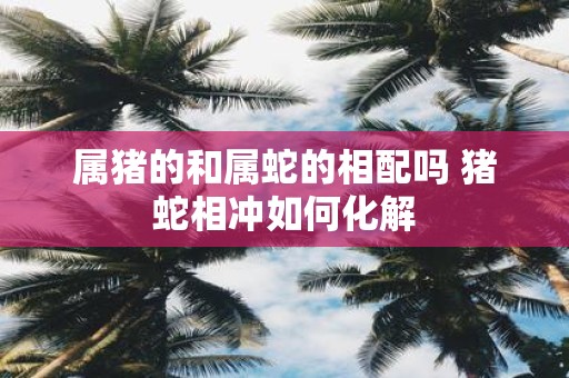 属猪的和属蛇的相配吗 猪蛇相冲如何化解