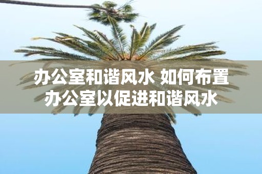 办公室和谐风水 如何布置办公室以促进和谐风水