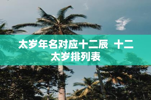太岁年名对应十二辰 十二太岁排列表