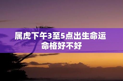 属虎下午3至5点出生命运 命格好不好
