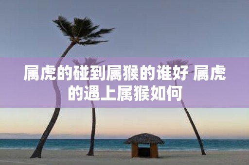 属虎的碰到属猴的谁好 属虎的遇上属猴如何