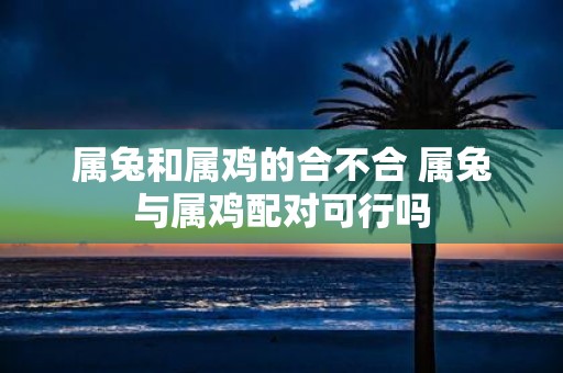 属兔和属鸡的合不合 属兔与属鸡配对可行吗