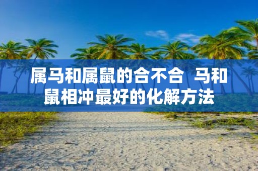 属马和属鼠的合不合 马和鼠相冲最好的化解方法