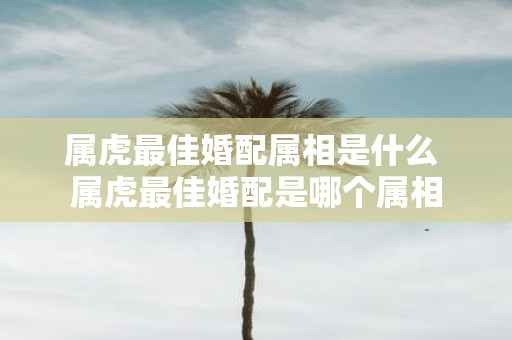属虎最佳婚配属相是什么 属虎最佳婚配是哪个属相