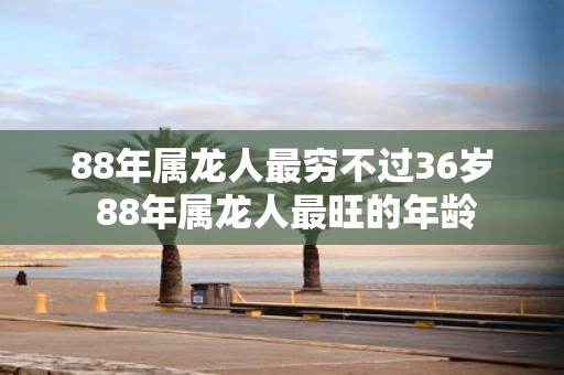 88年属龙人最穷不过36岁 88年属龙人最旺的年龄