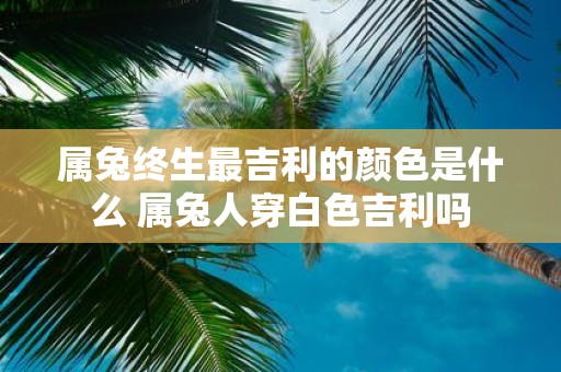 属兔终生最吉利的颜色是什么 属兔人穿白色吉利吗