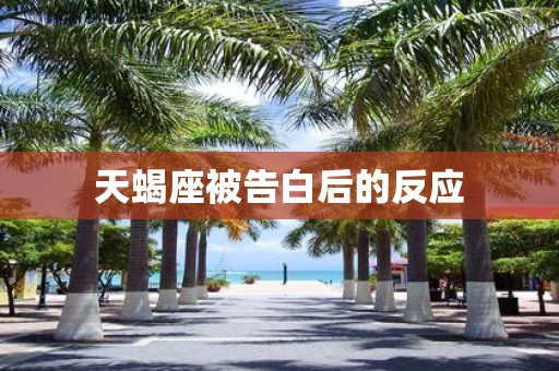 天蝎座被告白后的反应