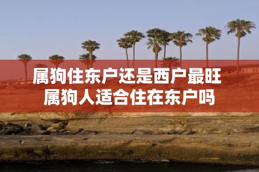 属狗住东户还是西户最旺 属狗人适合住在东户吗