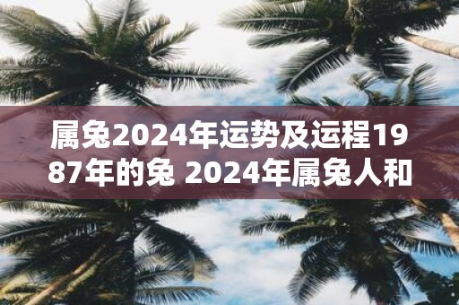 属兔2025年运势及运程1987年的兔 2025年属兔人和1987年属兔人的运势如何