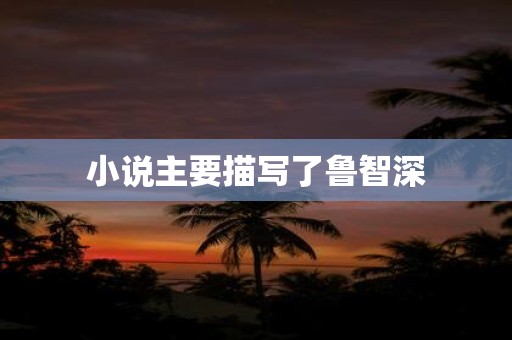 小说主要描写了鲁智深