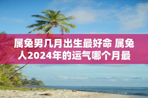 属兔男几月出生最好命 属兔人2025年的运气哪个月最好