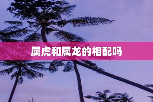 属虎和属龙的相配吗