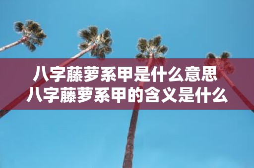 八字藤萝系甲是什么意思 八字藤萝系甲的含义是什么