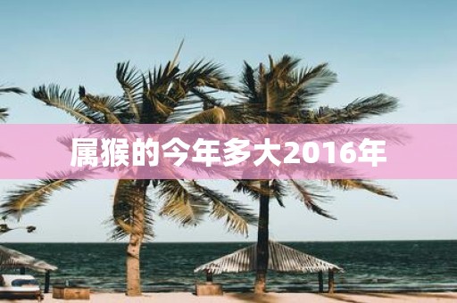 属猴的今年多大2016年