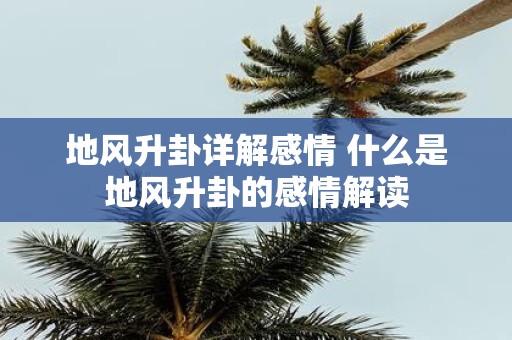 地风升卦详解感情 什么是地风升卦的感情解读
