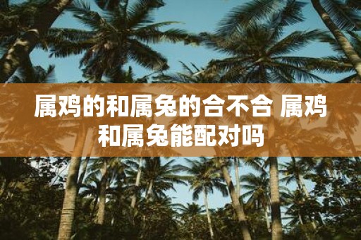 属鸡的和属兔的合不合 属鸡和属兔能配对吗