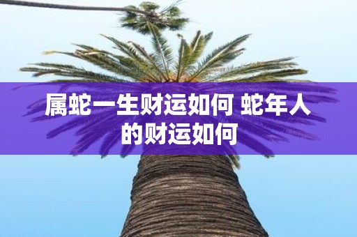 属蛇一生财运如何 蛇年人的财运如何