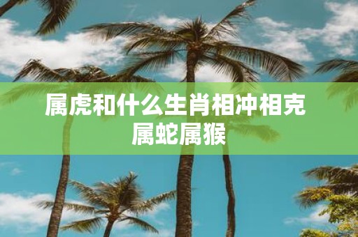 属虎和什么生肖相冲相克 属蛇属猴