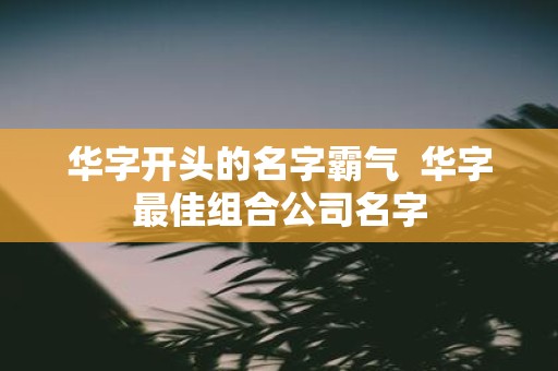 华字开头的名字霸气 华字最佳组合公司名字