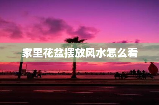 家里花盆摆放风水怎么看