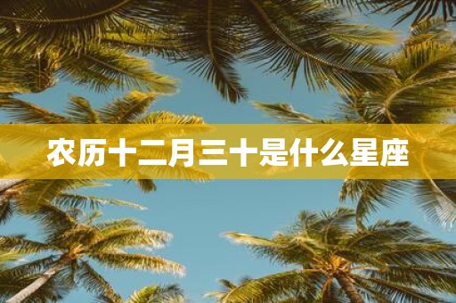 农历十二月三十是什么星座