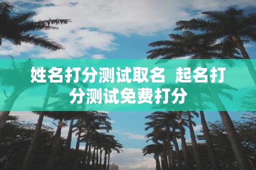 姓名打分测试取名 起名打分测试免费打分