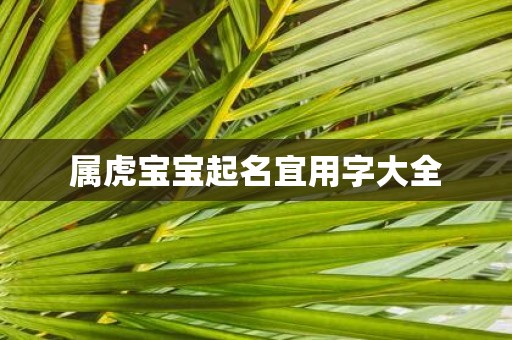 属虎宝宝起名宜用字大全