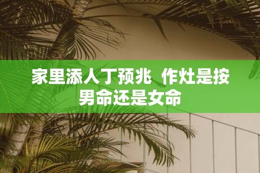 家里添人丁预兆 作灶是按男命还是女命