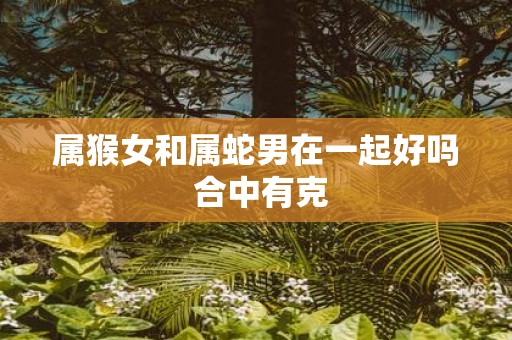 属猴女和属蛇男在一起好吗 合中有克