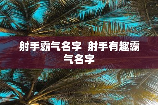 射手霸气名字 射手有趣霸气名字