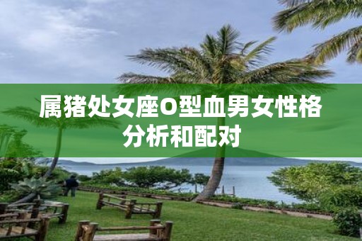 属猪处女座O型血男女性格分析和配对