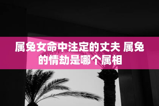 属兔女命中注定的丈夫 属兔的情劫是哪个属相