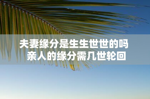夫妻缘分是生生世世的吗 亲人的缘分需几世轮回