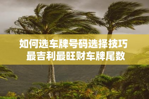 如何选车牌号码选择技巧 最吉利最旺财车牌尾数